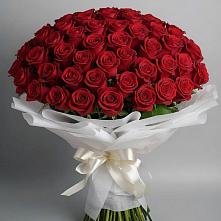 Букет 101 Красная роза Блэк Мэджик в Толстяково