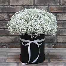 Цветочная композиция из Гипсофила в шляпной коробке в Толстяково