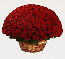 Премиум букет из: Розы в Толстяково